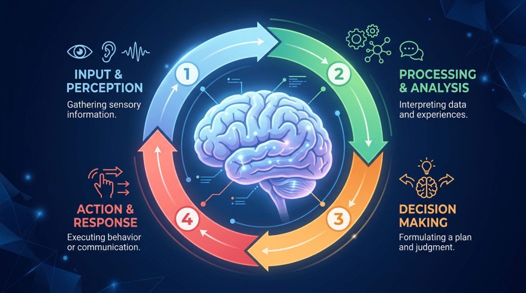 El cerebro que predice antes de&nbsp;ver